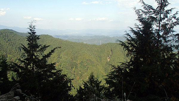 森林管理道御岳山線